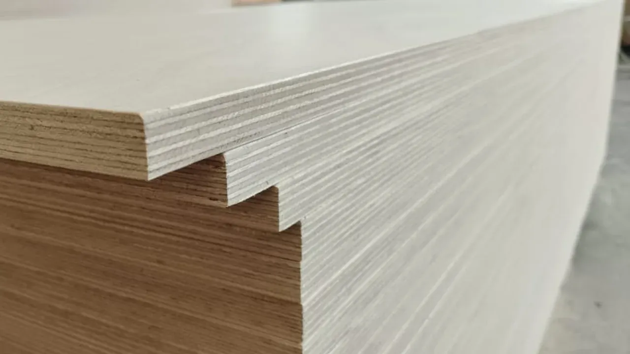 Close-up of the glue lines and core plies along a panel edge