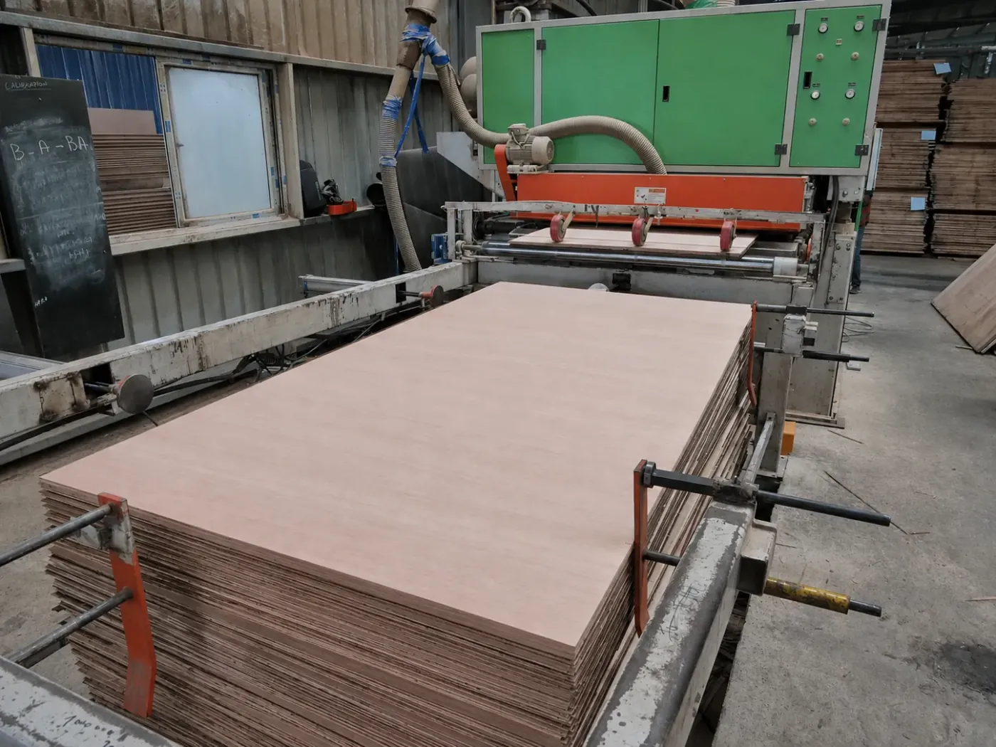 Sanded Okoume panels coming off the calibration line