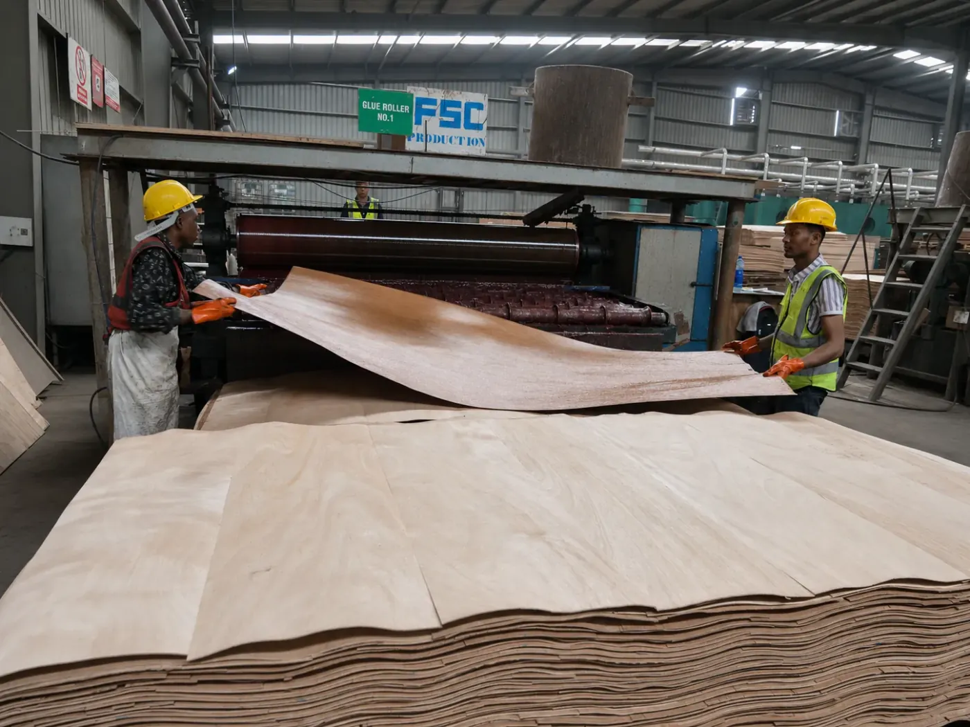 Veneer being fed through the glue roller